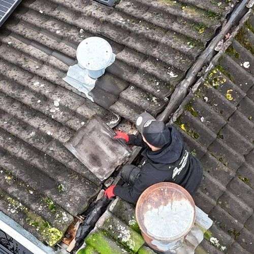 Het opnieuw vastleggen van dakpannen in Hulst